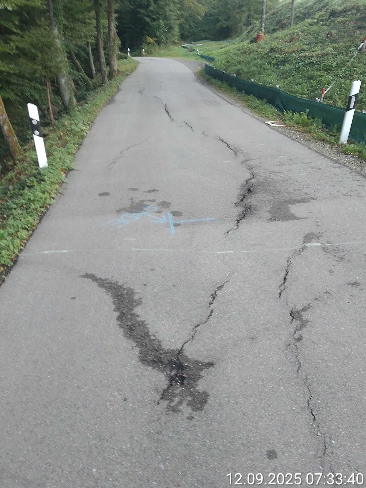 Straßenschäden Niederaltenburg 1