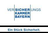 logo schnitzenbaumer