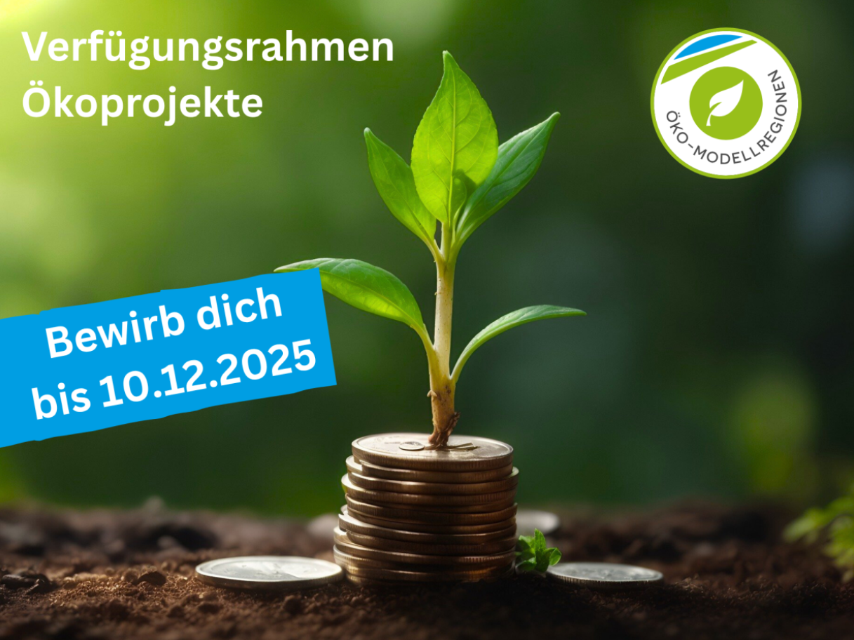 Ökoprojekte