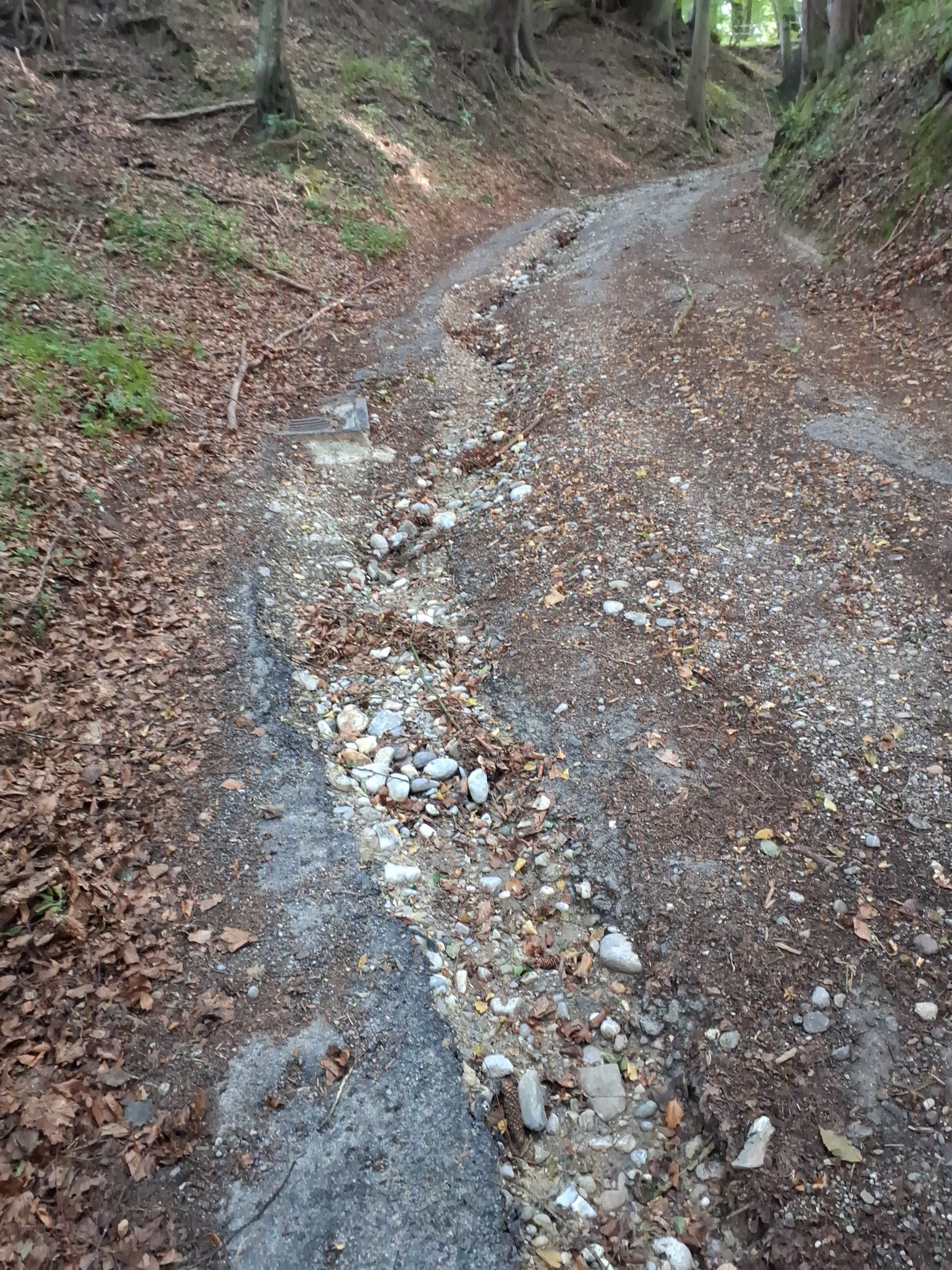 Radweg Percha