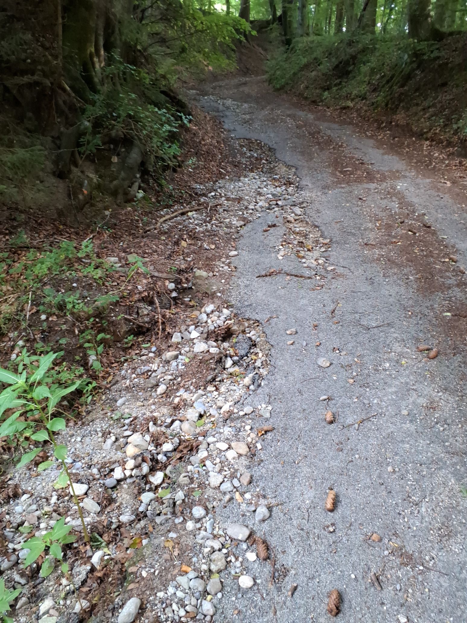 Radweg Percha2